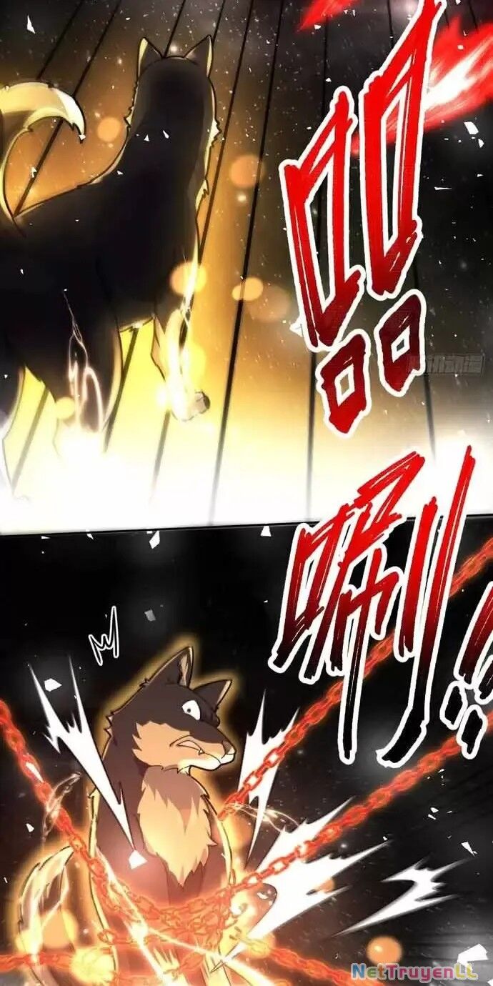 Nguyên Lai Ta Là Tu Tiên Đại Lão Chapter 430 - Trang 2