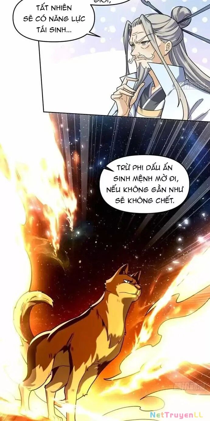 Nguyên Lai Ta Là Tu Tiên Đại Lão Chapter 430 - Trang 2