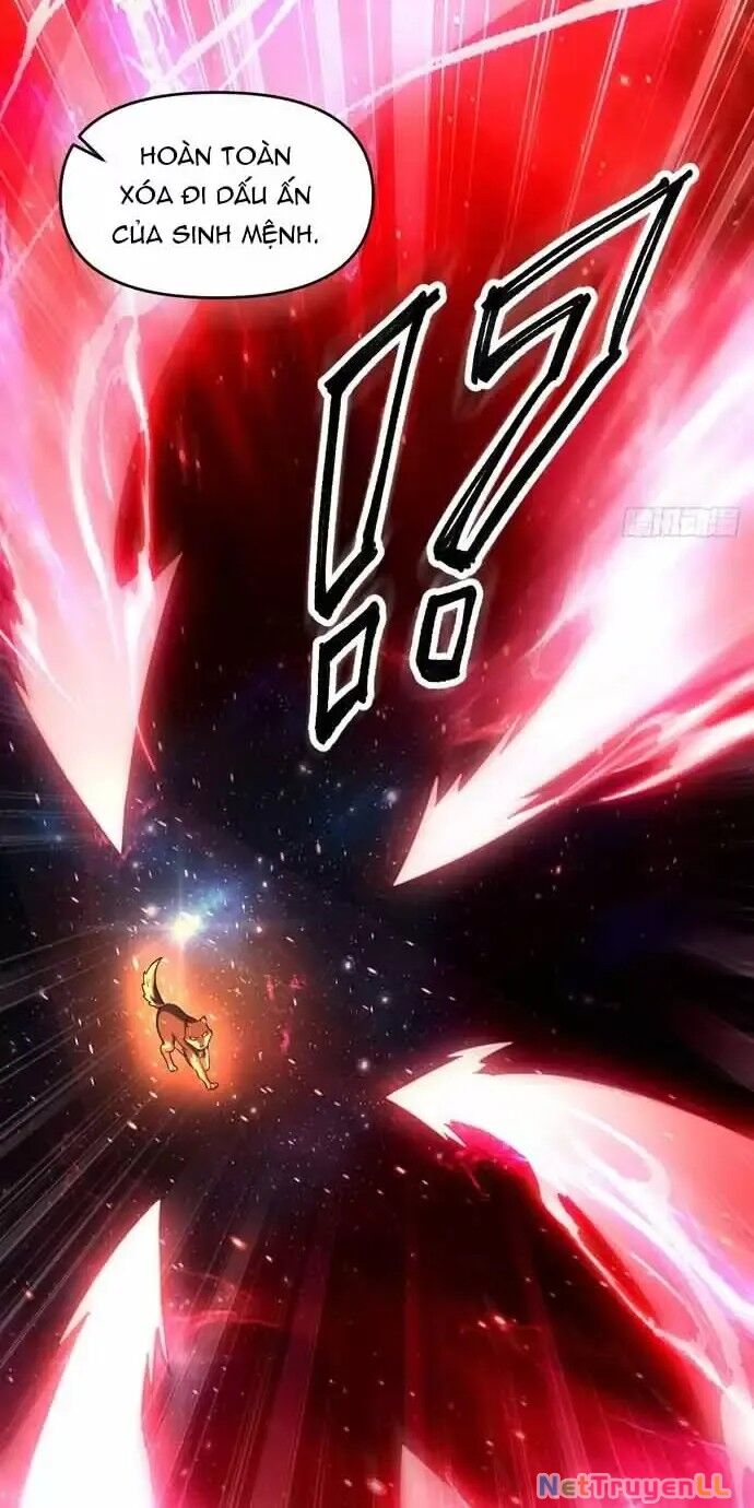 Nguyên Lai Ta Là Tu Tiên Đại Lão Chapter 430 - Trang 2