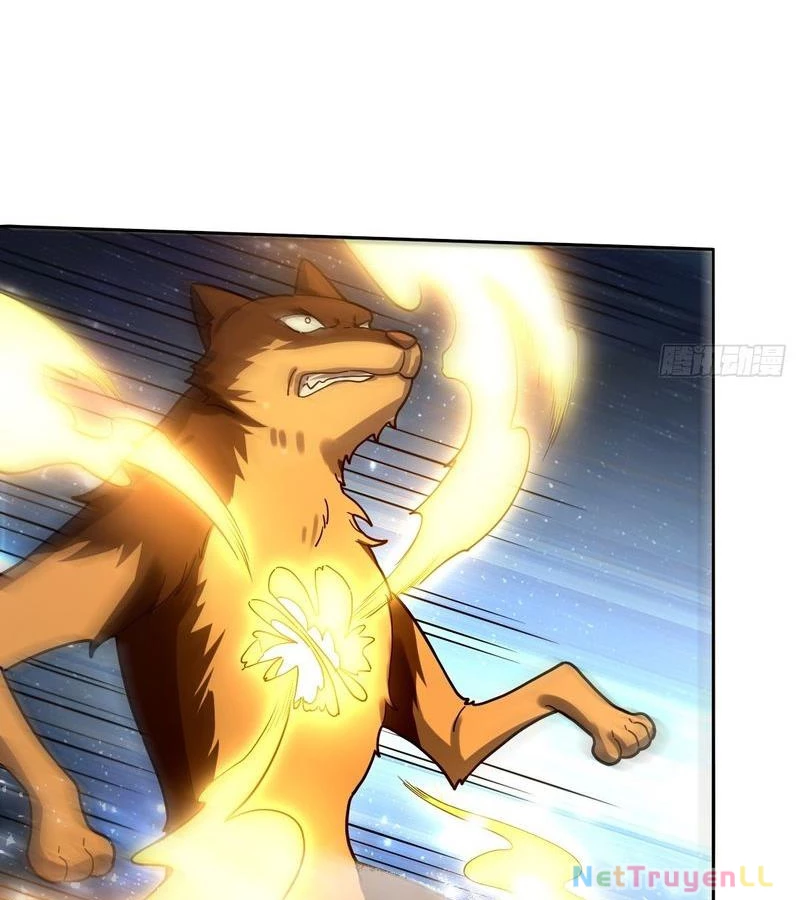 Nguyên Lai Ta Là Tu Tiên Đại Lão Chapter 431 - Trang 2