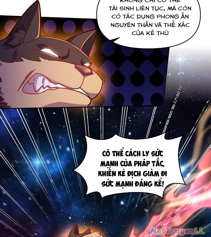 Nguyên Lai Ta Là Tu Tiên Đại Lão Chapter 431 - Trang 2