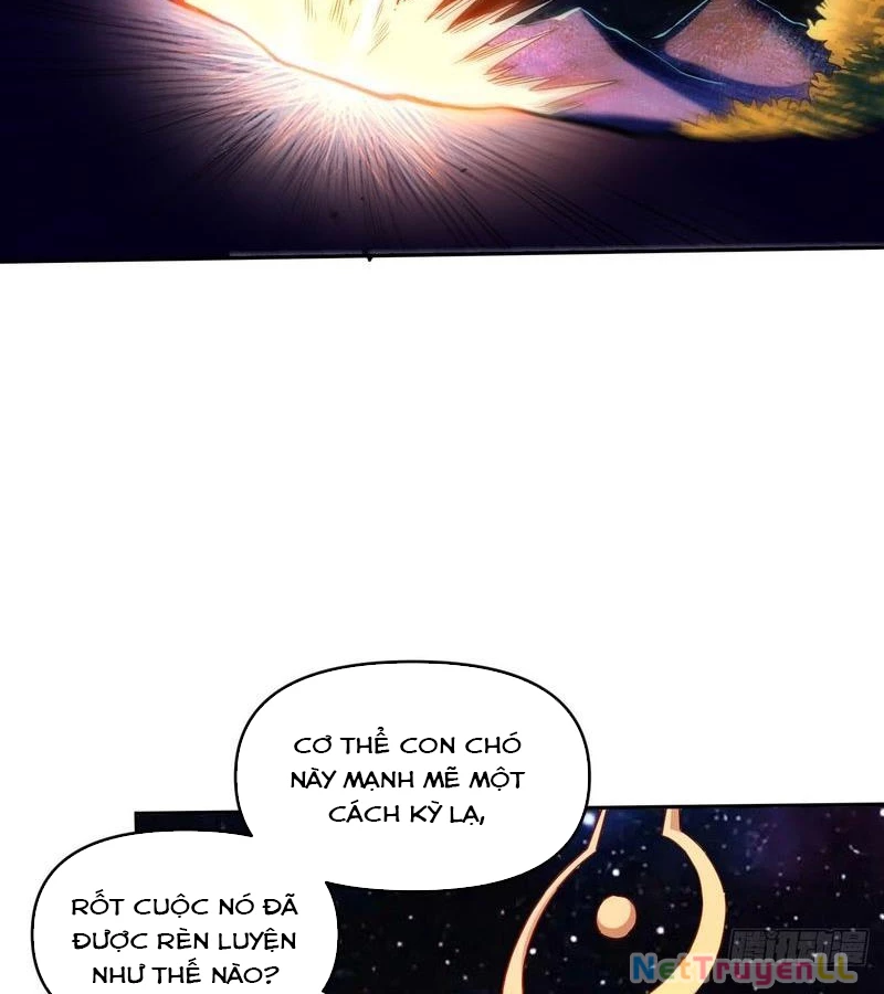 Nguyên Lai Ta Là Tu Tiên Đại Lão Chapter 431 - Trang 2