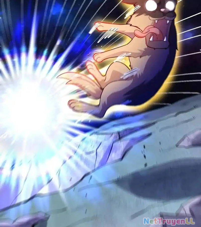 Nguyên Lai Ta Là Tu Tiên Đại Lão Chapter 432 - Trang 2