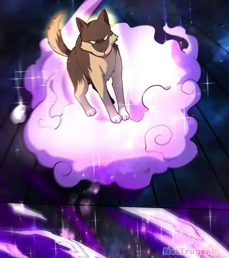 Nguyên Lai Ta Là Tu Tiên Đại Lão Chapter 432 - Trang 2