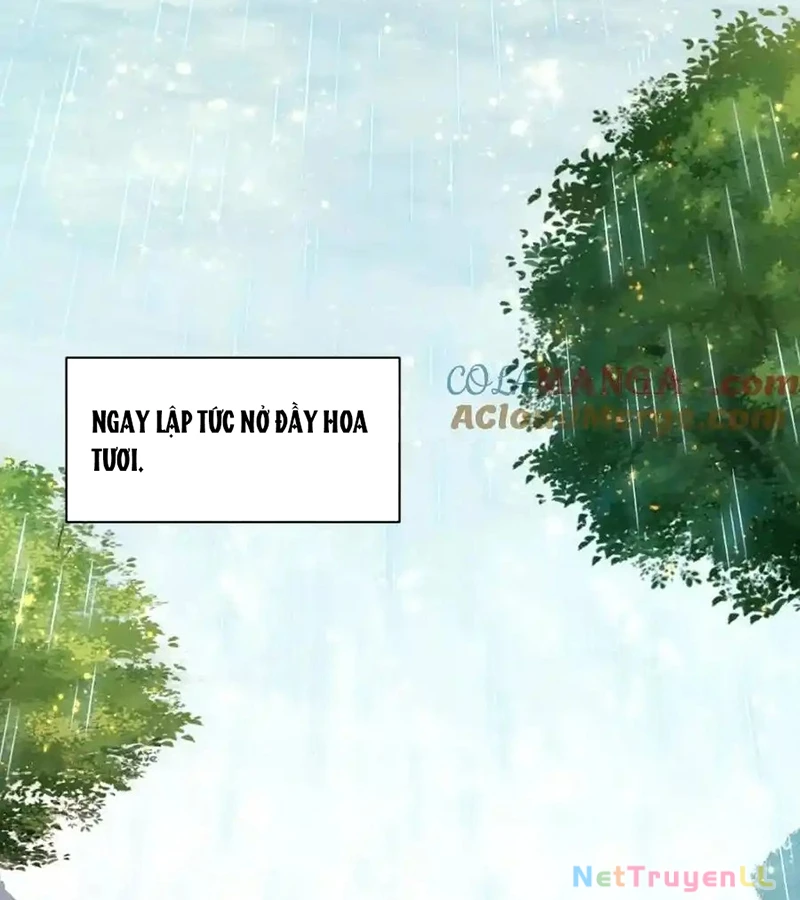 Nguyên Lai Ta Là Tu Tiên Đại Lão Chapter 432 - Trang 2