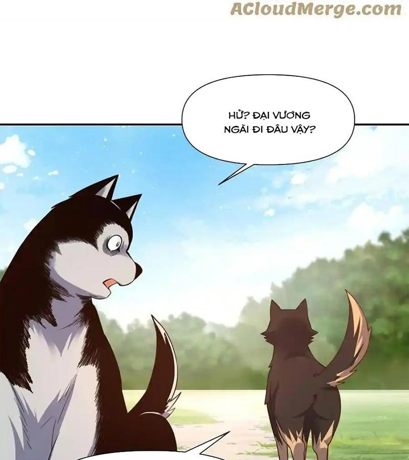 Nguyên Lai Ta Là Tu Tiên Đại Lão Chapter 455 - Trang 2