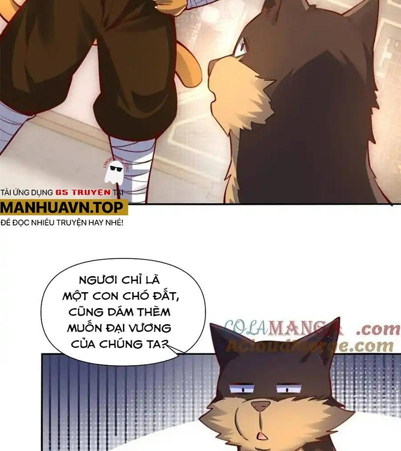 Nguyên Lai Ta Là Tu Tiên Đại Lão Chapter 456 - Trang 2