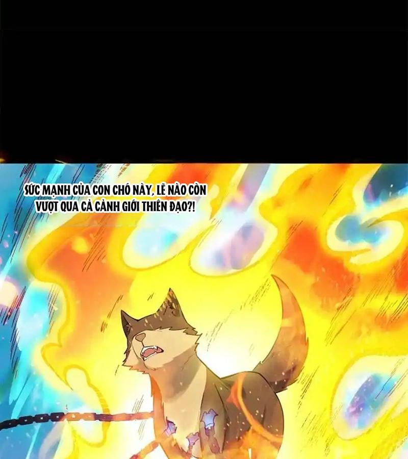 Nguyên Lai Ta Là Tu Tiên Đại Lão Chapter 460 - Trang 2