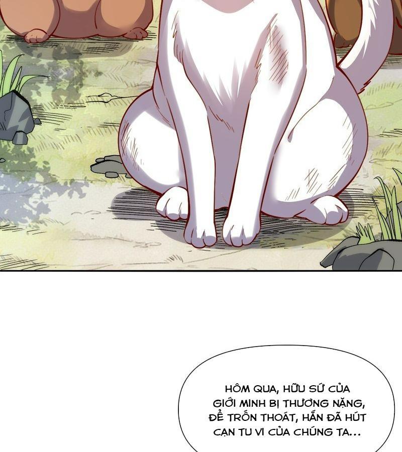 Nguyên Lai Ta Là Tu Tiên Đại Lão Chapter 463 - Trang 2