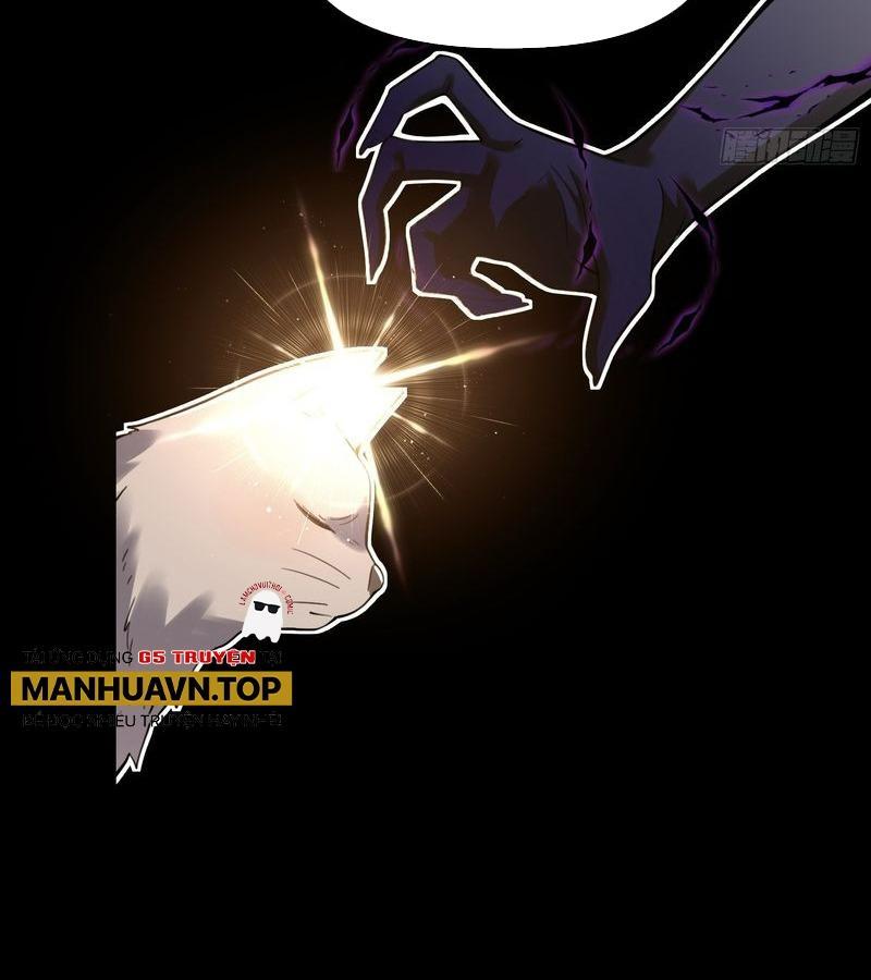 Nguyên Lai Ta Là Tu Tiên Đại Lão Chapter 463 - Trang 2