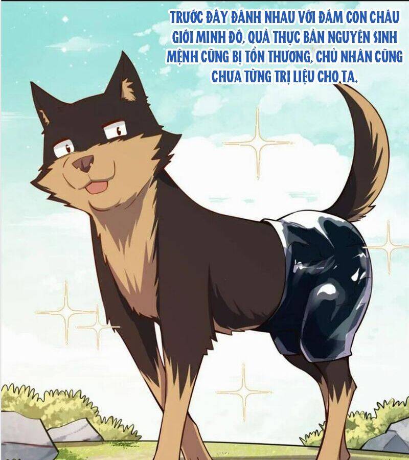 Nguyên Lai Ta Là Tu Tiên Đại Lão Chapter 474 - Trang 2