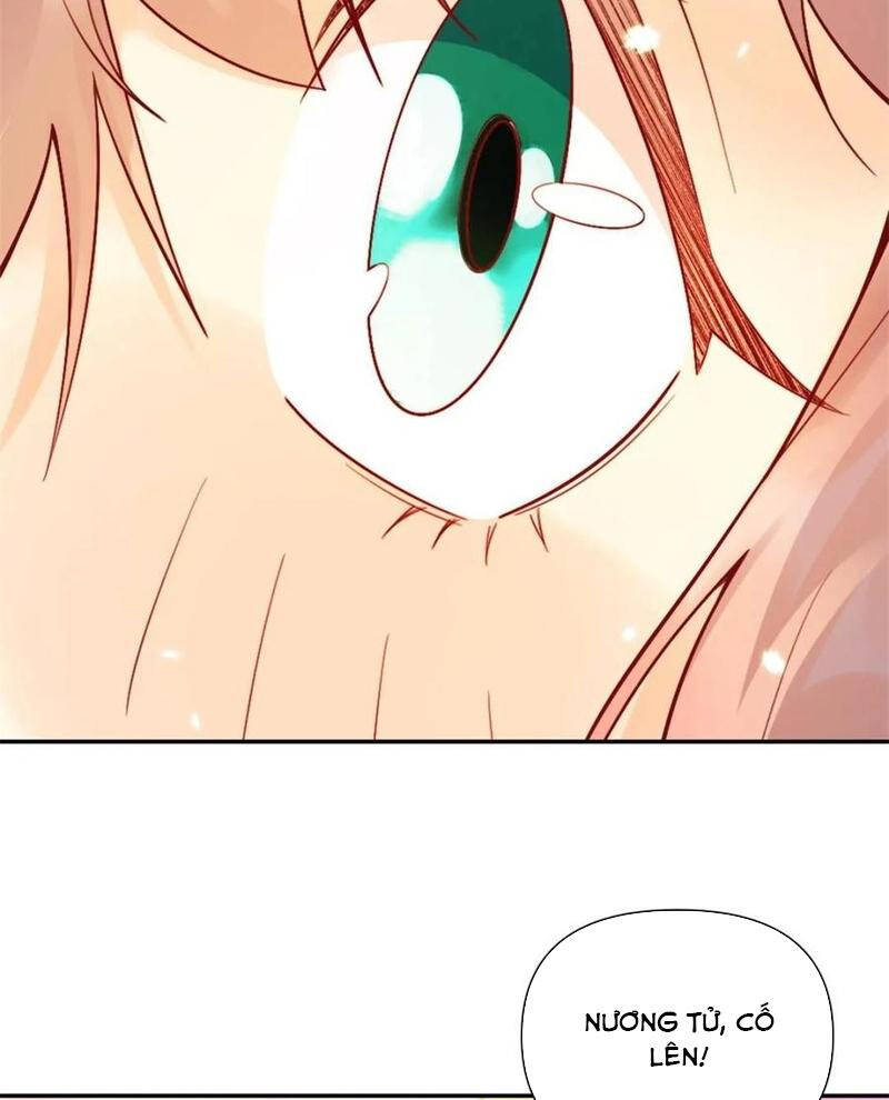 Nguyên Lai Ta Là Tu Tiên Đại Lão Chapter 511 - Trang 2
