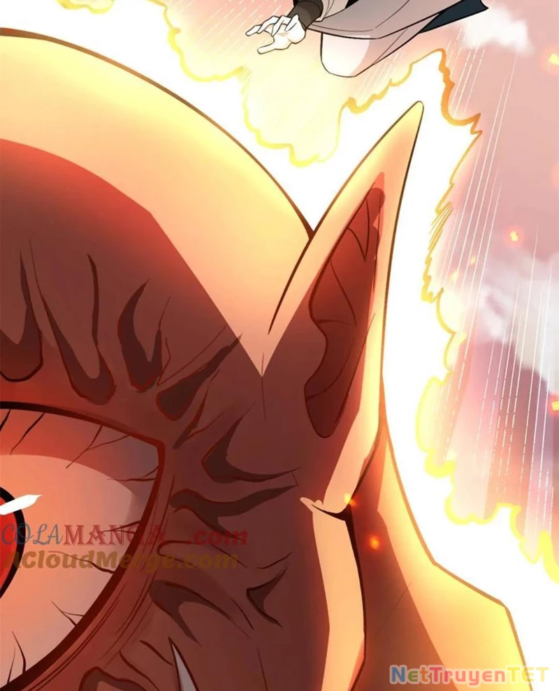 Nguyên Lai Ta Là Tu Tiên Đại Lão Chapter 529 - Trang 2