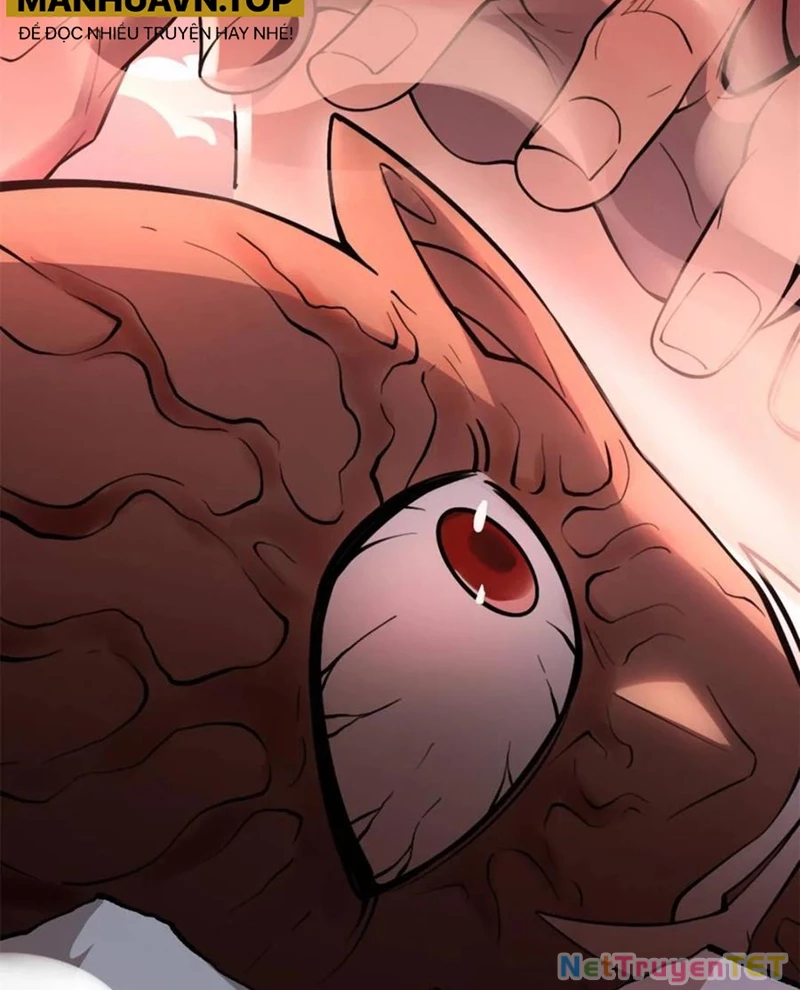 Nguyên Lai Ta Là Tu Tiên Đại Lão Chapter 529 - Trang 2