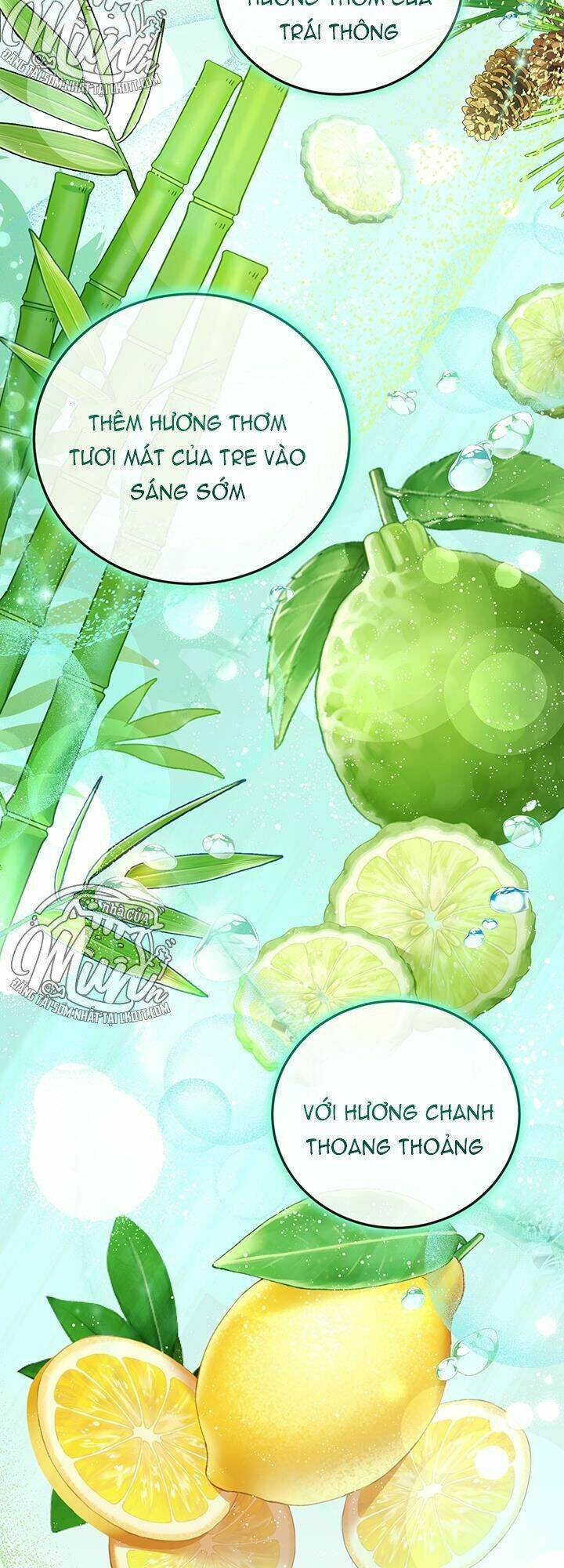 Nhà Điều Chế Nước Hoa Độc Quyền Của Bạo Chúa Chapter 15 - Trang 2