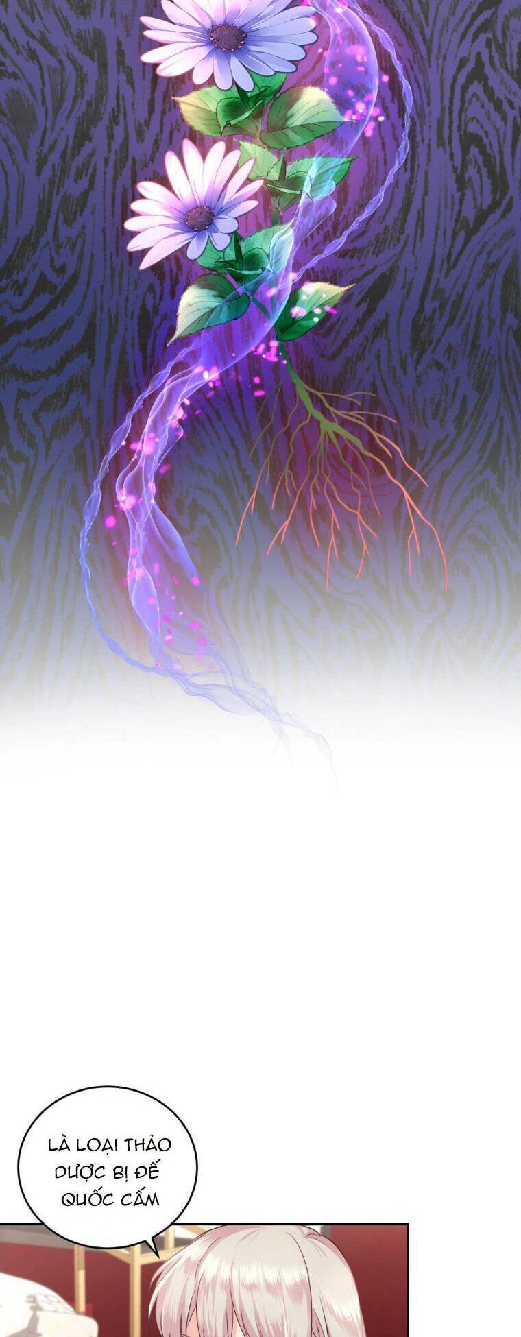 Nhà Điều Chế Nước Hoa Độc Quyền Của Bạo Chúa Chapter 53 - Trang 2