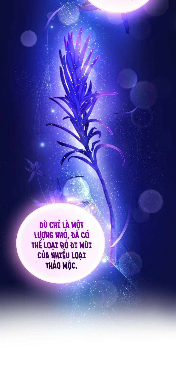 Nhà Điều Chế Nước Hoa Độc Quyền Của Bạo Chúa Chapter 62 - Trang 2