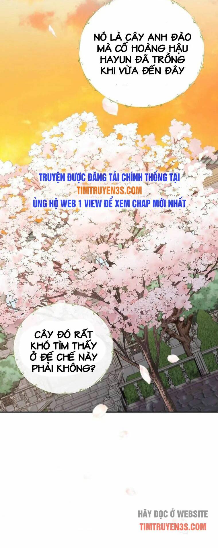 Nhà Hiền Triết Yigret Chapter 41 - Trang 2