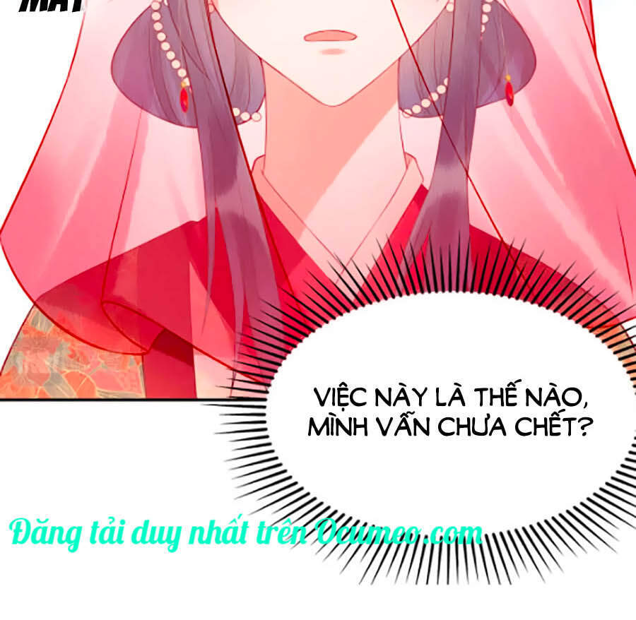 Nha Hỏa Cuồng Phi: Vương Gia Phóng Tứ Sủng Chapter 0 - Trang 2