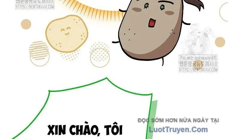 Nhà Soạn Nhạc Thiên Tài Đã Trở Lại Chapter 78 - Trang 2