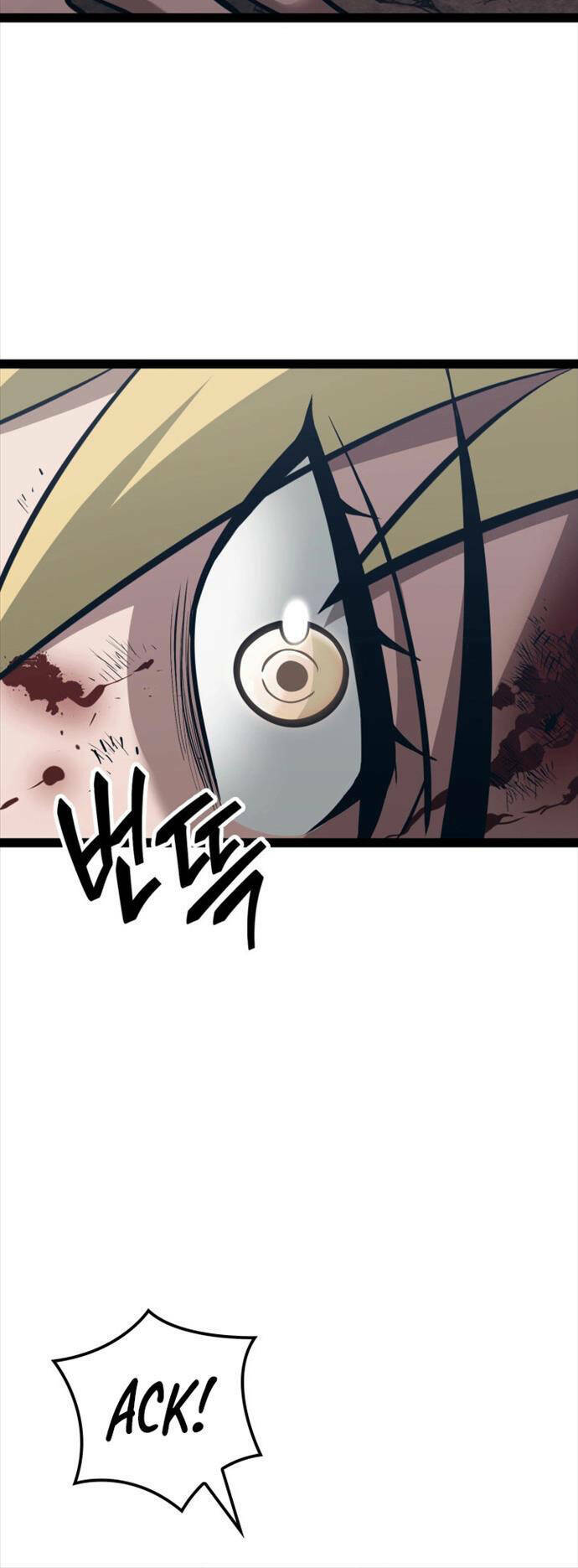 Nhà Vô Địch Kalli Chapter 1 - Trang 2