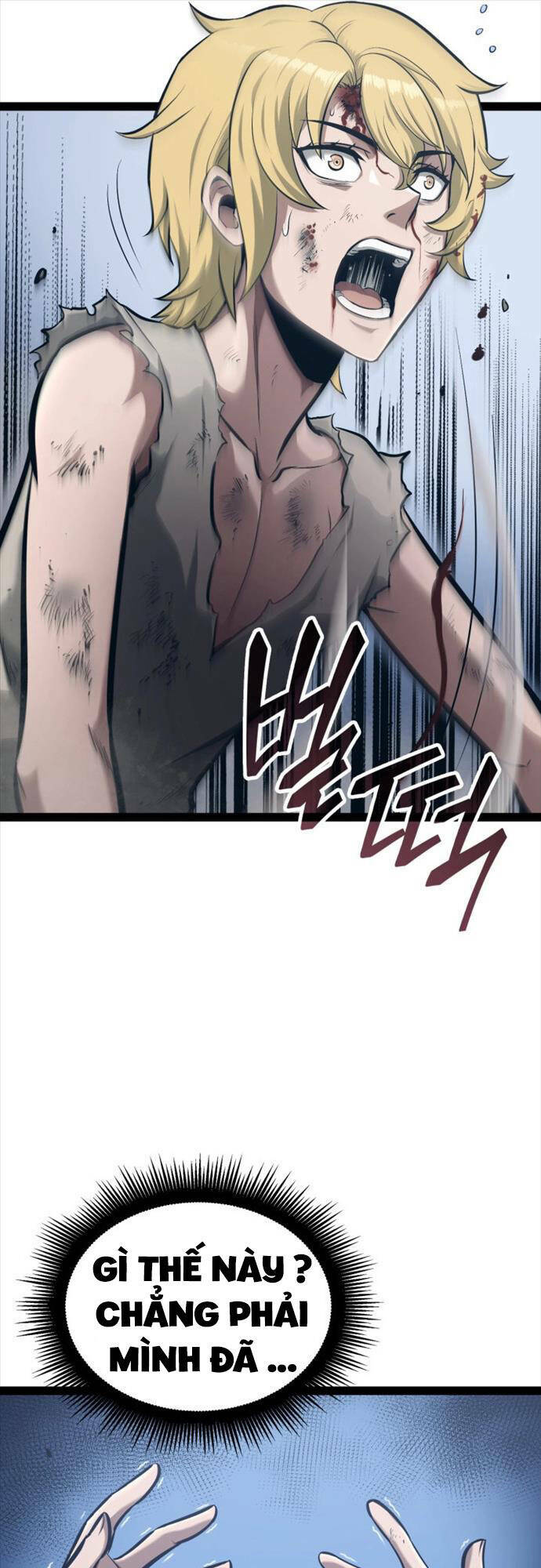 Nhà Vô Địch Kalli Chapter 1 - Trang 2