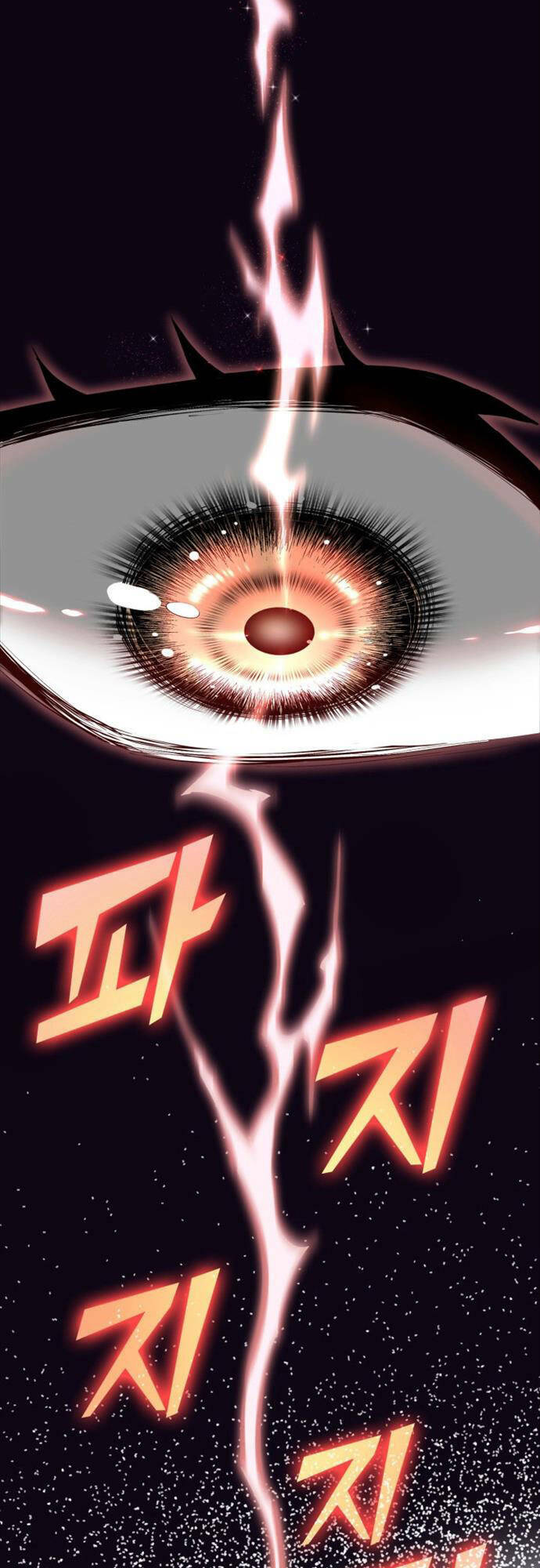 Nhà Vô Địch Kalli Chapter 1 - Trang 2