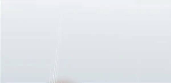 Nhà Vô Địch Kalli Chapter 11 - Trang 2