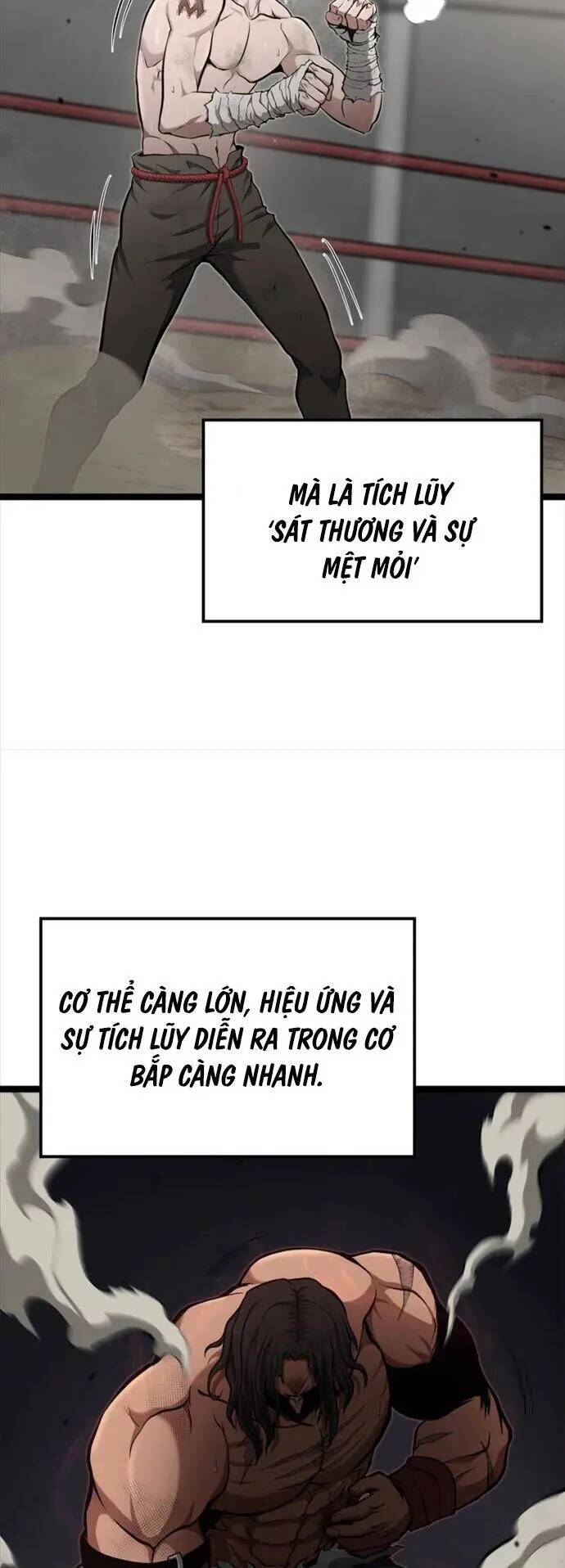 Nhà Vô Địch Kalli Chapter 24 - Trang 2