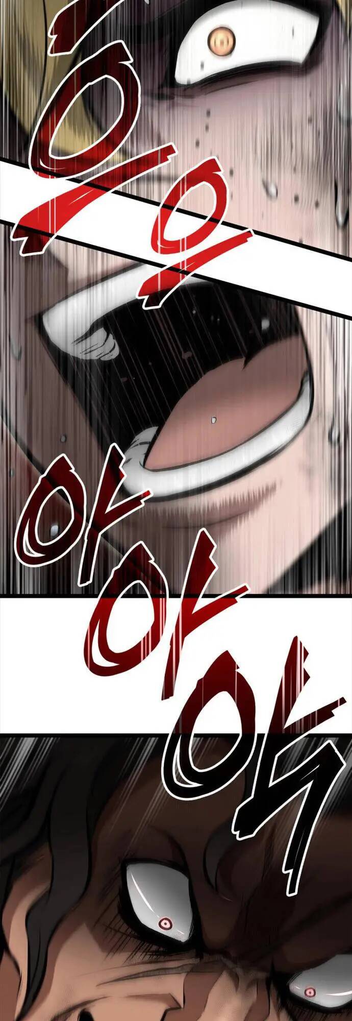 Nhà Vô Địch Kalli Chapter 25 - Trang 2