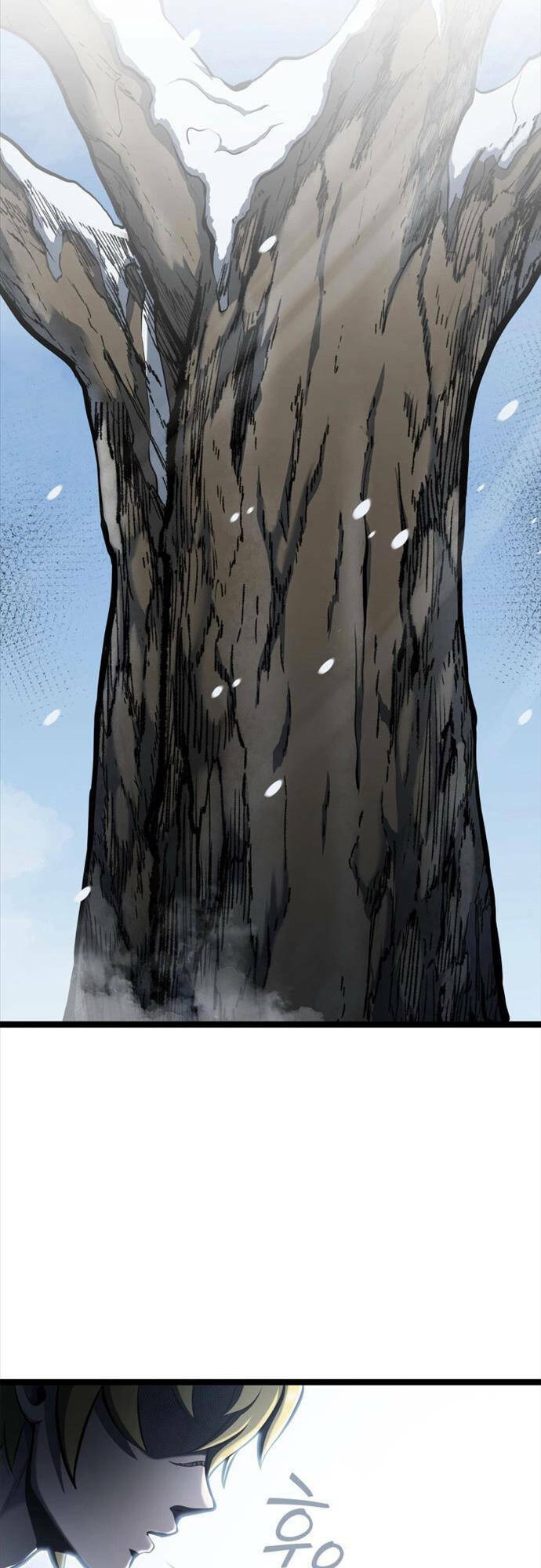 Nhà Vô Địch Kalli Chapter 29 - Trang 2