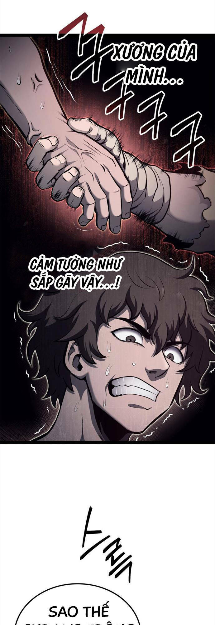 Nhà Vô Địch Kalli Chapter 30 - Trang 2