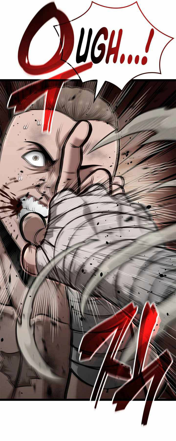 Nhà Vô Địch Kalli Chapter 39 - Trang 2