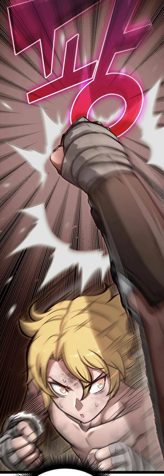 Nhà Vô Địch Kalli Chapter 4 - Trang 2