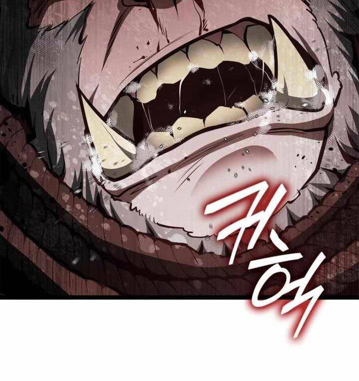 Nhà Vô Địch Kalli Chapter 61 - Trang 2