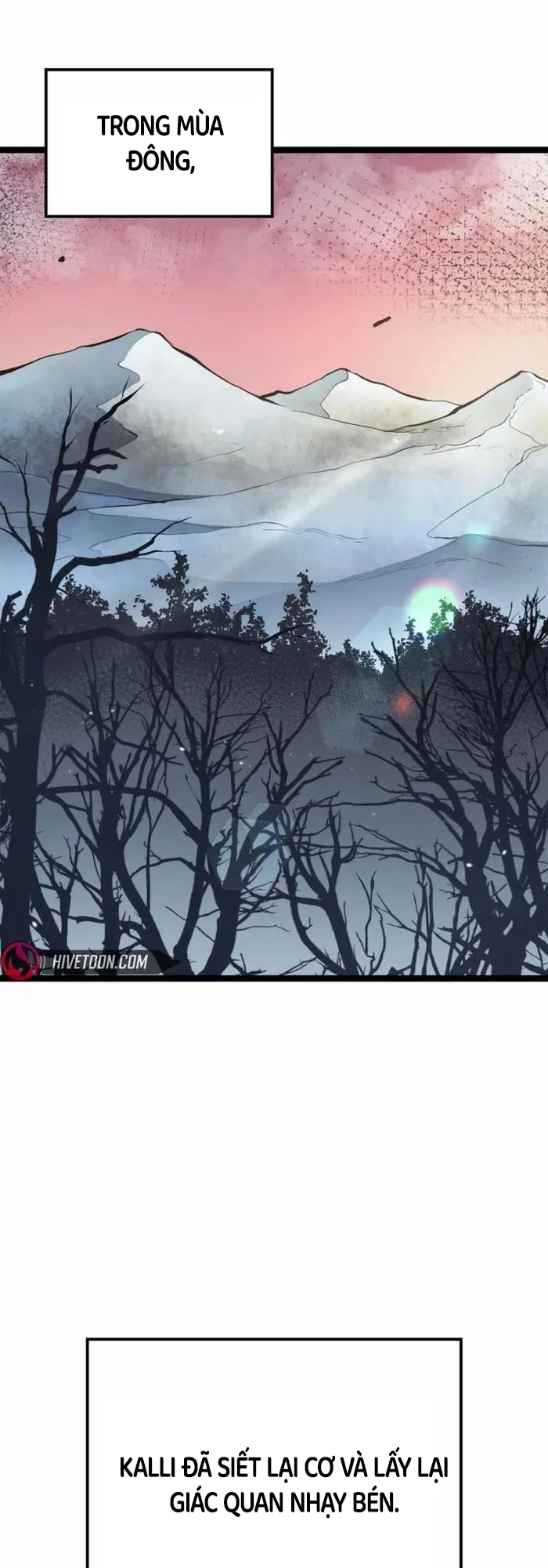 Nhà Vô Địch Kalli Chapter 73 - Trang 2