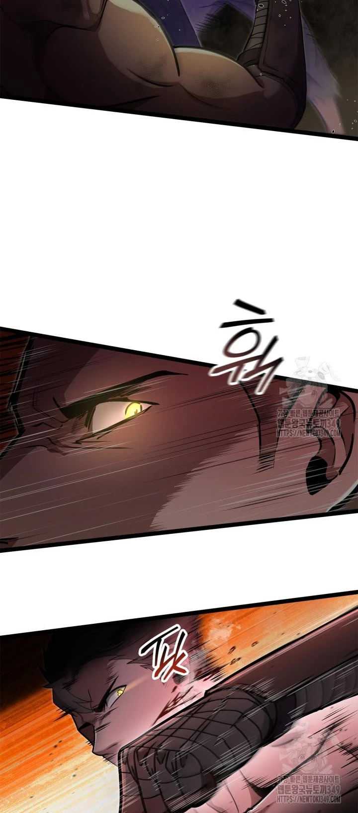 Nhà Vô Địch Kalli Chapter 77 - Trang 2