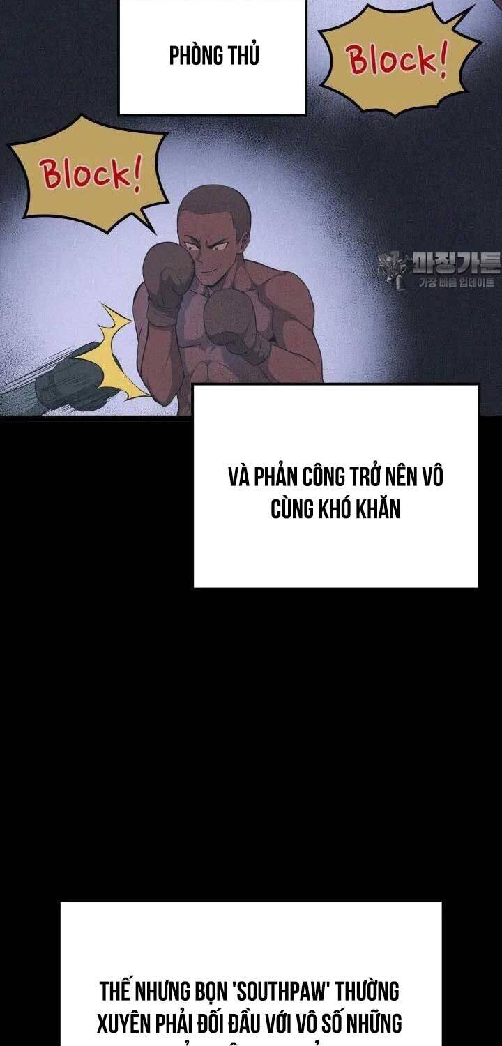 Nhà Vô Địch Kalli Chapter 81 - Trang 2