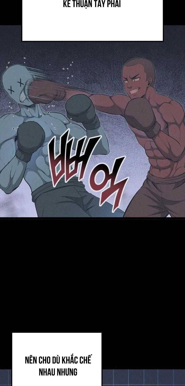 Nhà Vô Địch Kalli Chapter 81 - Trang 2