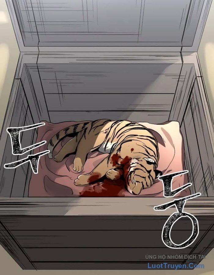 Nhân Diện Chapter 15 - Trang 2