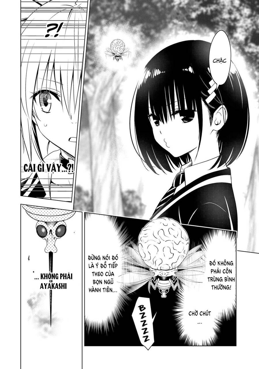 Nhẫn Giả Diệt Quỷ Chapter 117 - Trang 2