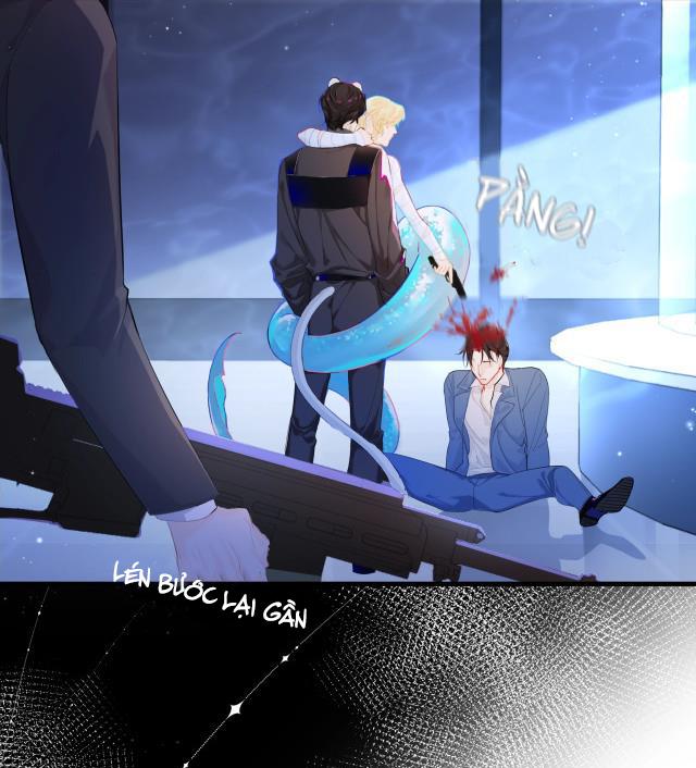 Nhân Ngư Sa Ngã Chapter 2 - Trang 2