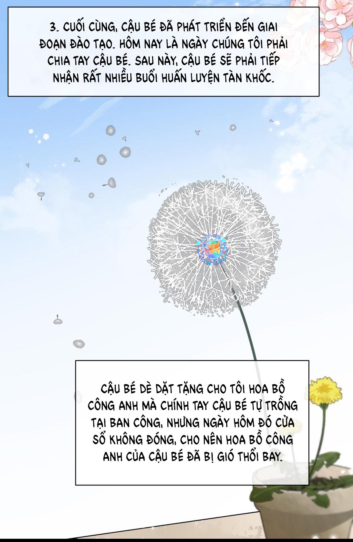 Nhân Ngư Sa Ngã Chapter 36 - Trang 2