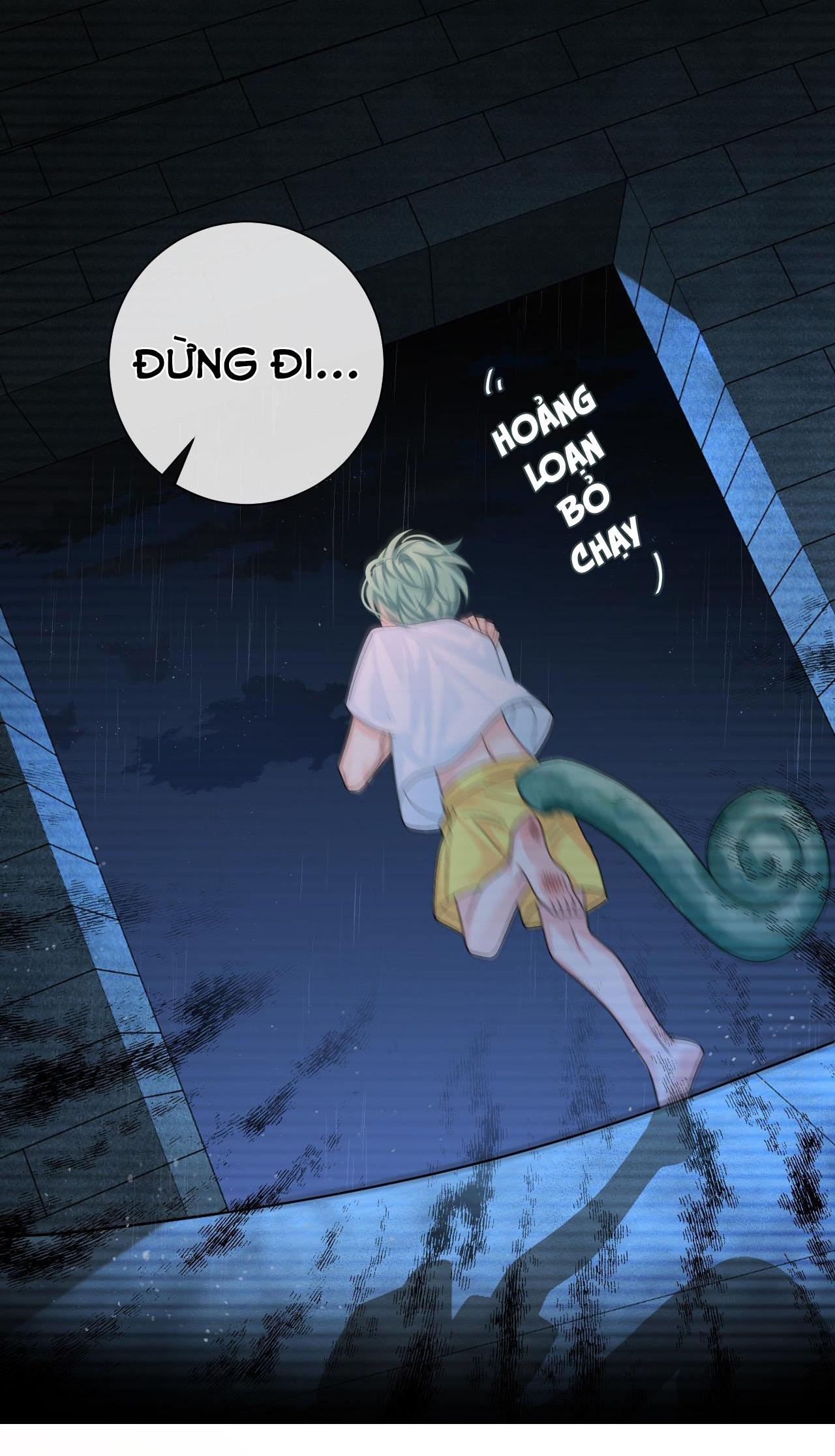 Nhân Ngư Sa Ngã Chapter 39 - Trang 2