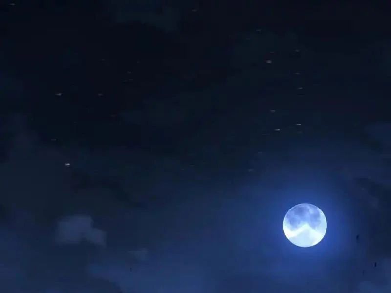 Nhân Sinh Quỷ Dị Chapter 19 - Trang 2