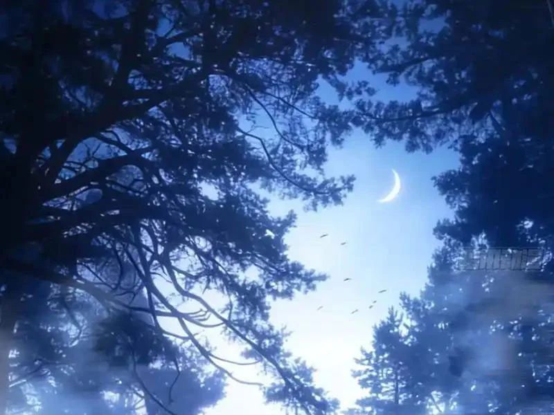 Nhân Sinh Quỷ Dị Chapter 19 - Trang 2