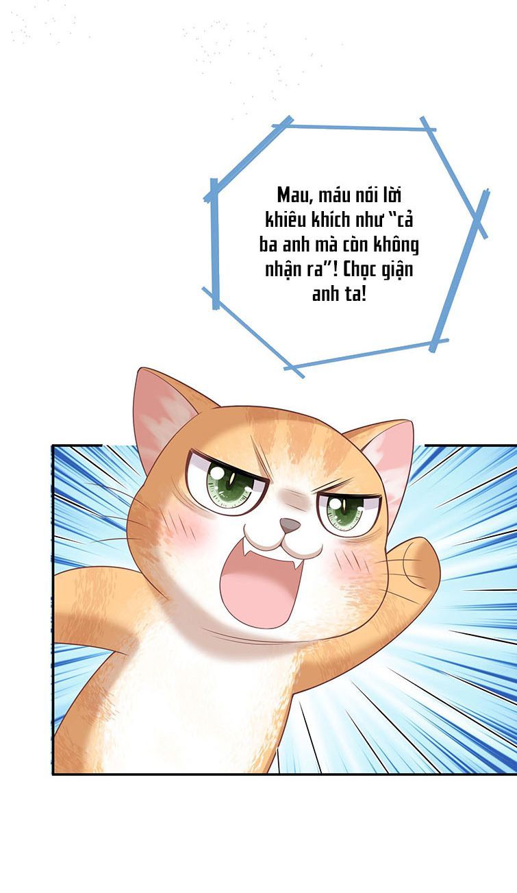 Nhân Thê Thụ Bị Bắt Tiếp Kịch Bản Cường Thụ Chapter 2 - Trang 2