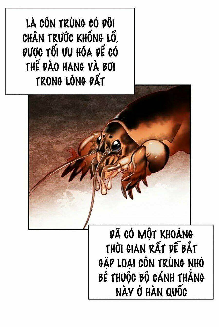 Nhân Trùng Đại Chiến Chapter 33 - Trang 2