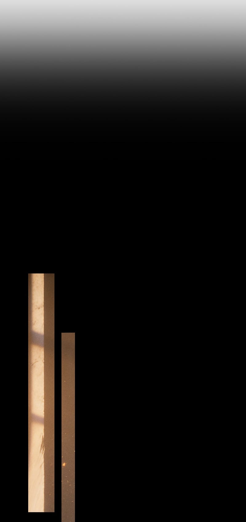 Nhân Vật Chính Chỉ Muốn Yêu Đương Chapter 262 - Trang 2