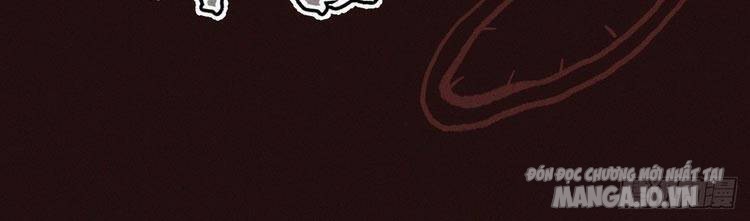 Nhân Vật Chính Mạnh Nhất Lịch Sử Chapter 12 - Trang 2